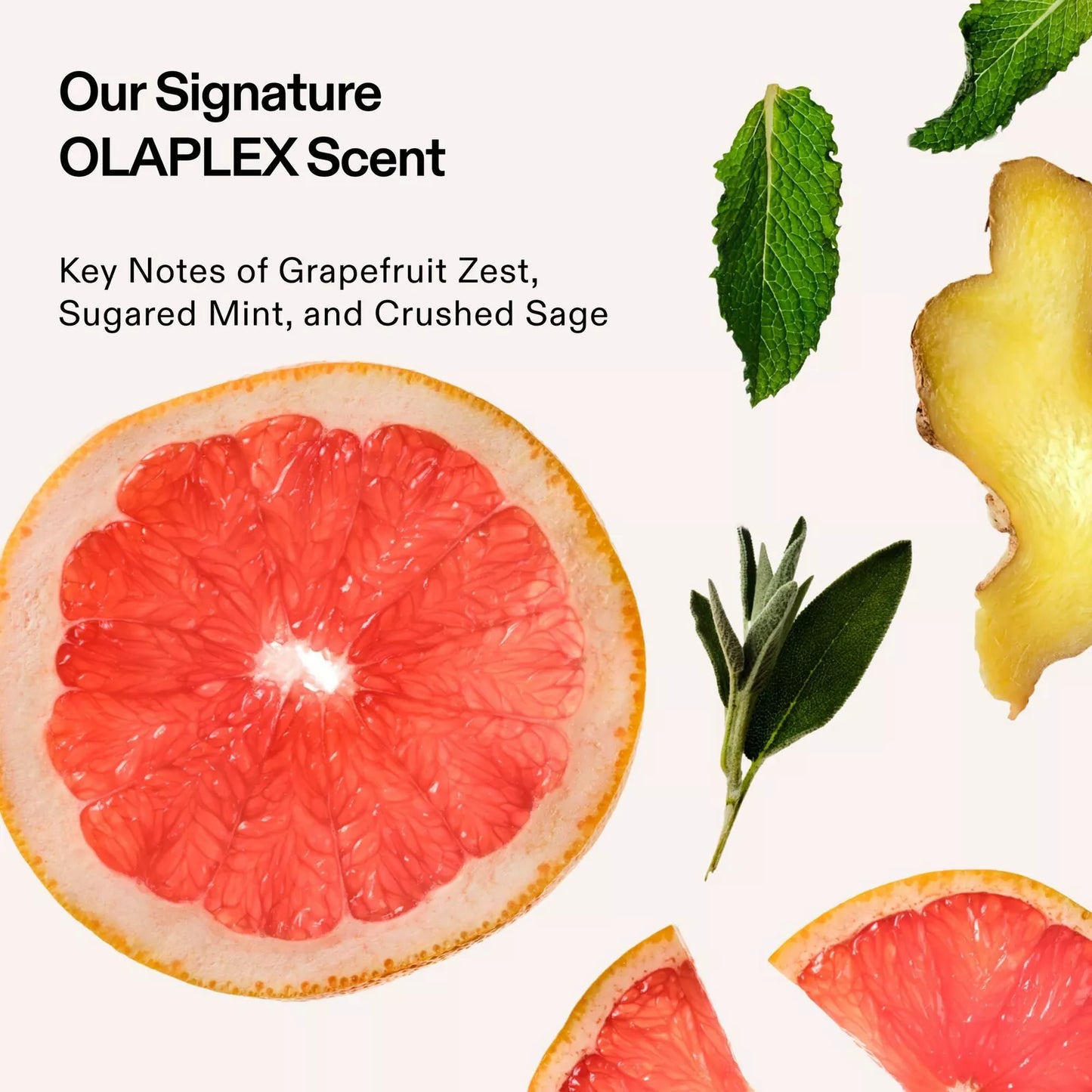 Olaplex No.5 Bond Maintenance
Conditioner